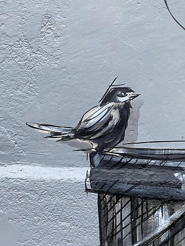 BEN CAILLOUS - Fresque des anciens bains douches de Trouillas