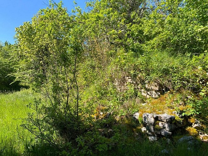 Ancienne citerne d'eau témoignage du camp C6