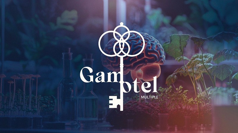 mailjet-pont-sur-yonne