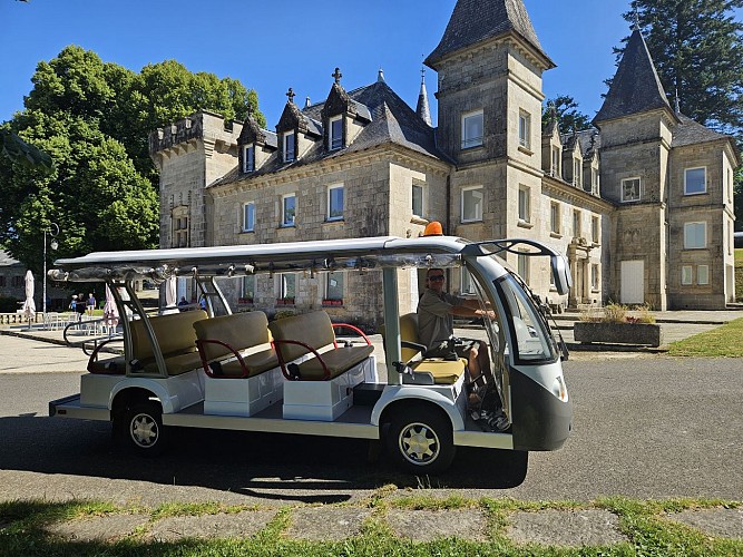 Adi Mille Tour Golfette electrique 