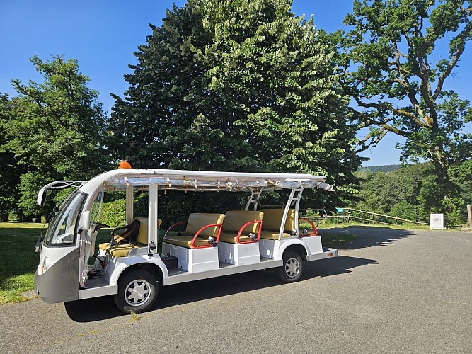 Adi Mille Tour Golfette electrique 