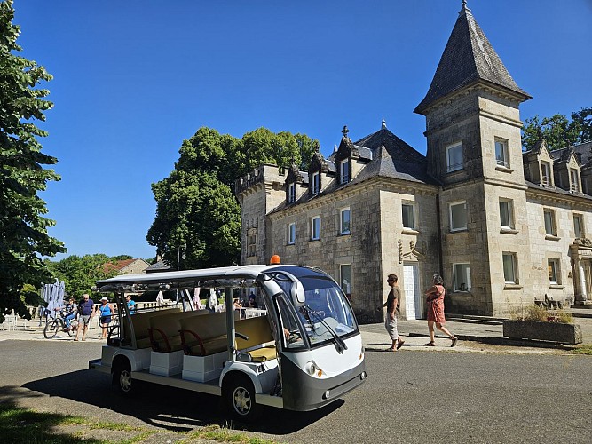 Adi Mille Tour Golfette electrique 