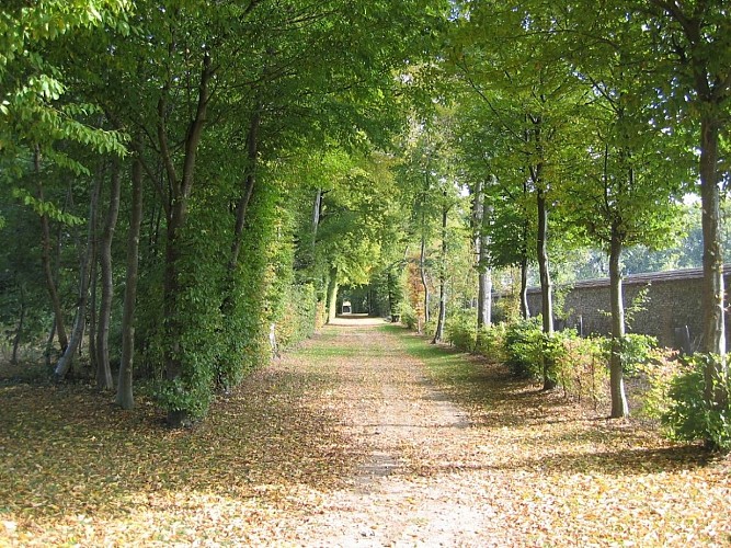 Parc Heudicourt Allée des sauts-de-loup 