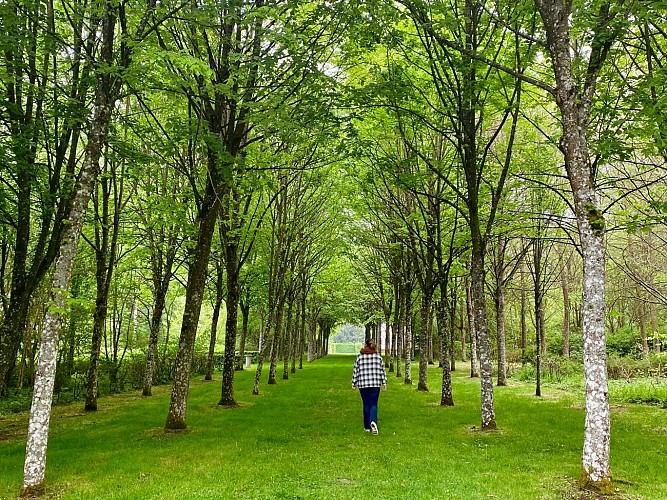 Parc du château d'Heudicourt 5© ML Vittori