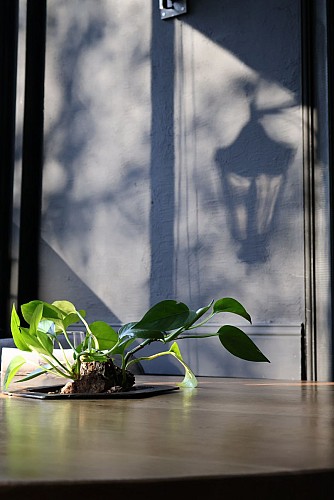 IMG_0345 @ Osmose Armentières