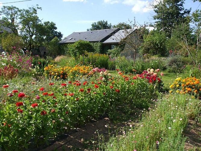 Gîte et jardins fleuris_6