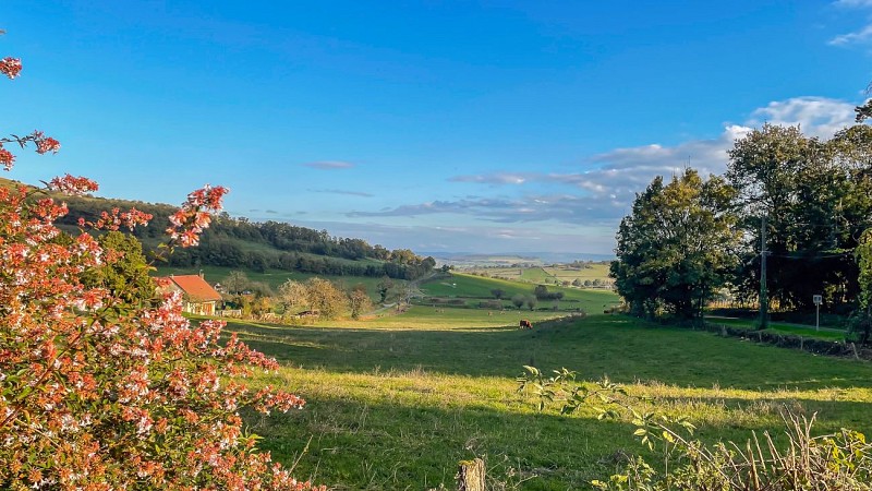 La vue depuis le gîte