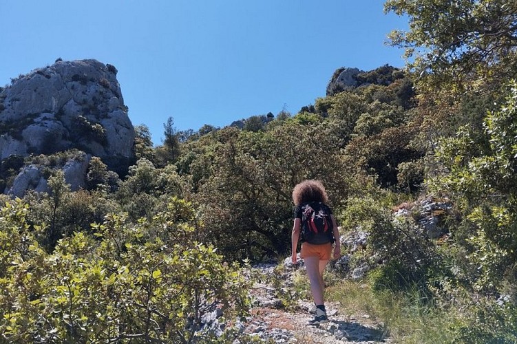 Draille des frères Nouguier