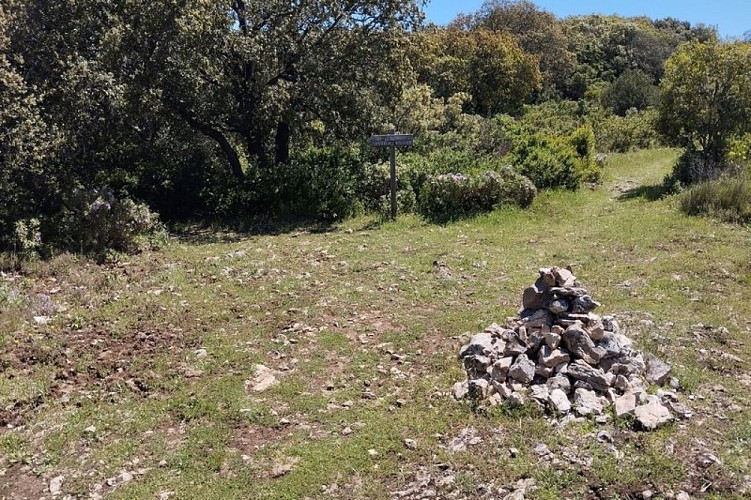 Arrivé de la draille sur les crêtes