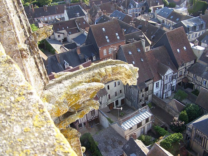 PCUNOR027FS0005G_OTPAEI (5)