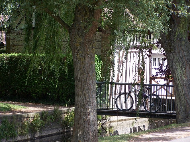 PCUNOR027FS0005G_OTPAEI (4)