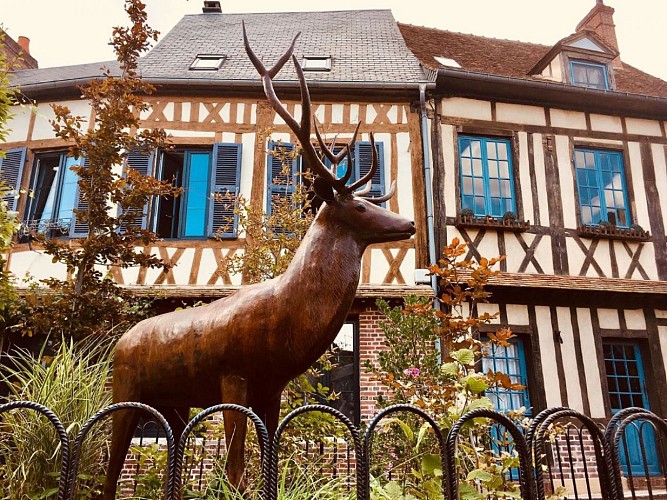 lyons-la-foret-juillet-19-cerf-ML-Vittori-OT-Lyons-Andelle-2