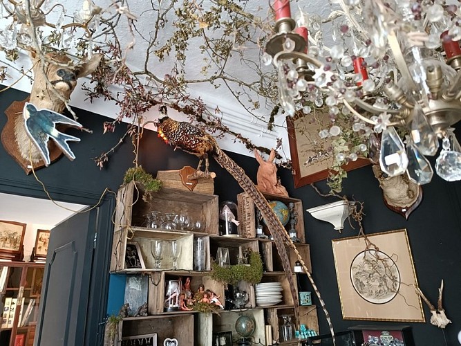 Galerie un pas d'à côté