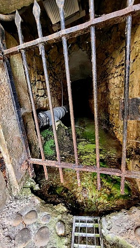 Alimentation lavoir
