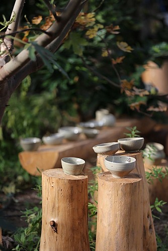 Atelier de Céramique Terre et Bois – Création & Nature en Alsace
