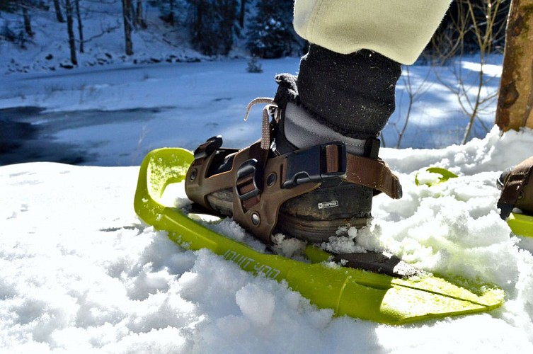 Schneeschuhwanderung mit Verkostung