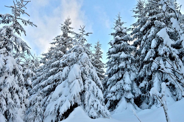 Schneeschuhwanderung mit Verkostung