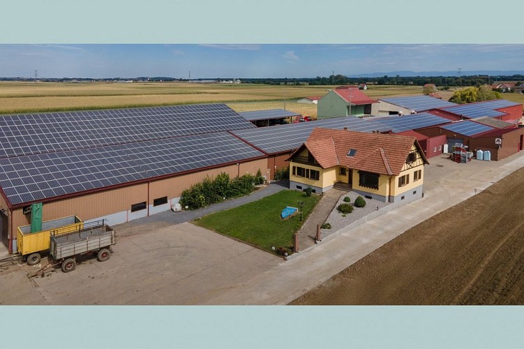 Discover the Maison de la choucroute - Le Pic