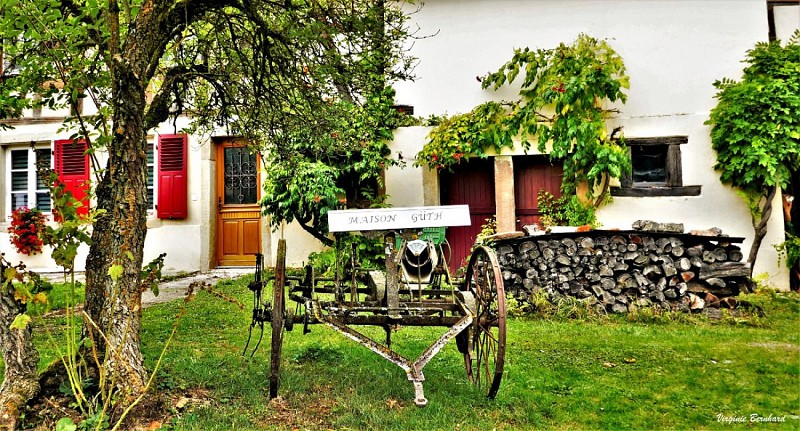 Maison Gueth façade_Hoste
