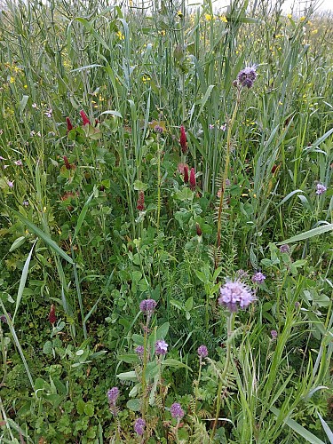 La ferme des 3 Fontaines