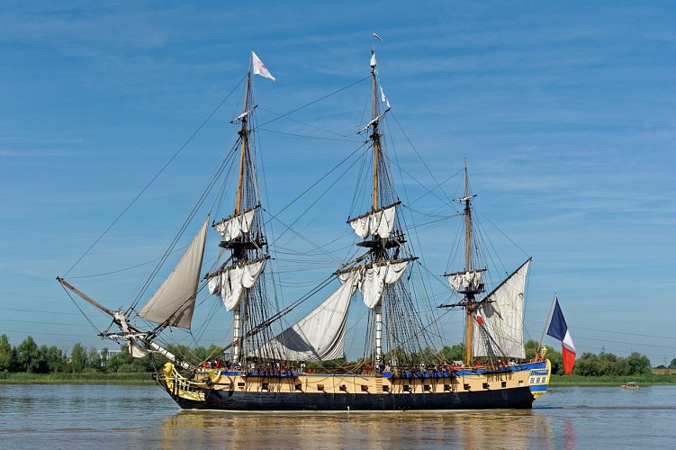 20250602_com_photo_hermione_c_adobestock_90741430_2500x1666