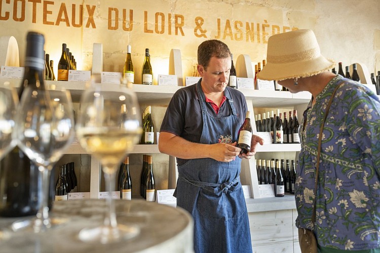 La Maison Voyages &amp; Vignes_La Chartre sur le Loir