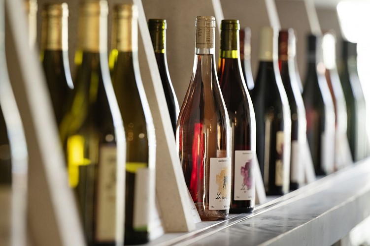 La Maison Voyages &amp; Vignes_La Chartre sur le Loir