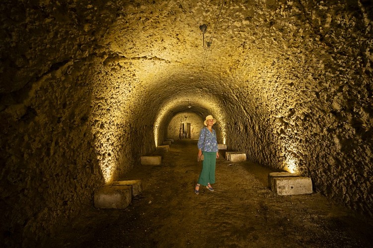 La Maison Voyages &amp; Vignes_La Chartre sur le Loir