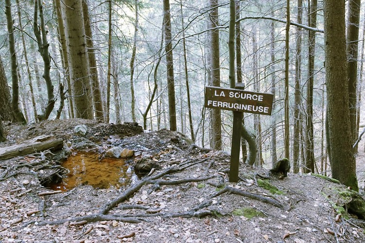 The ferruginous water source