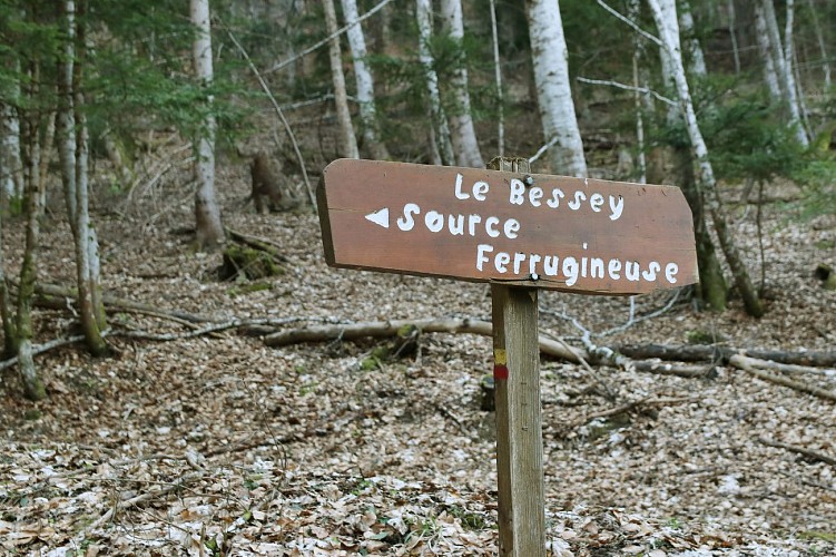 The ferruginous water source