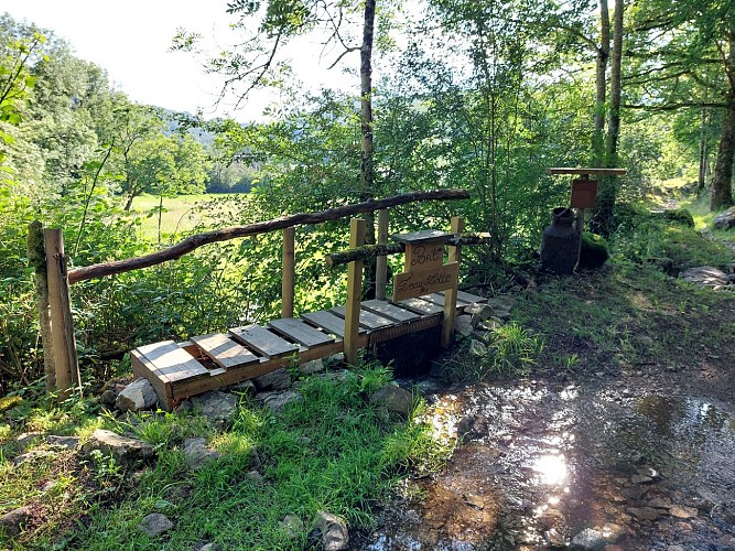 The "Big Nonsense" Trail