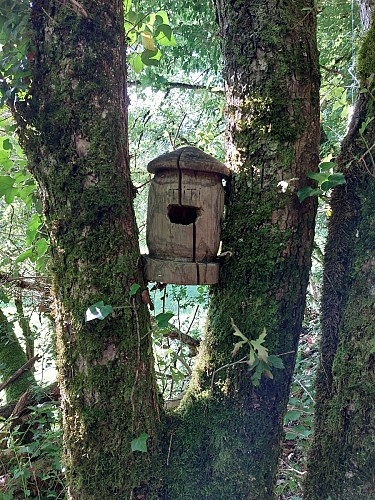 Le Bois du "Grand N'importe Quoi"