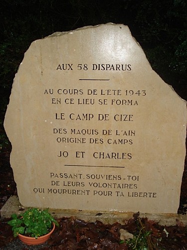 Camp de Cize
