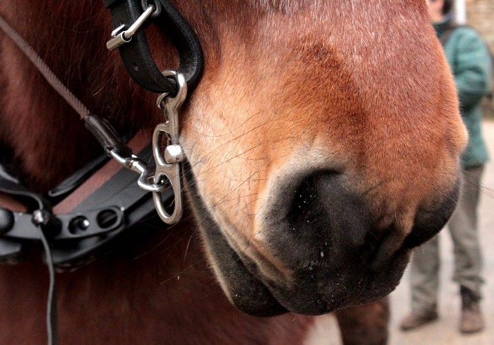 Domaine de La Combes aux Rêves