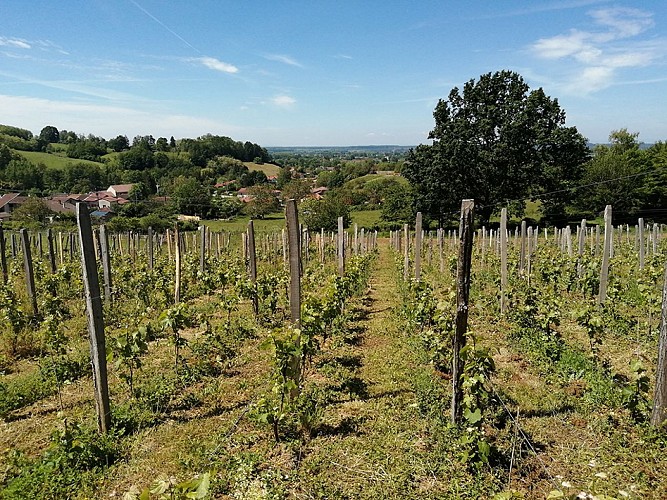 Domaine de La Combes aux Rêves