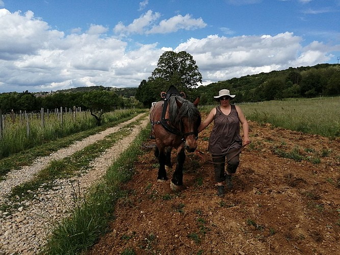 Domaine de La Combes aux Rêves