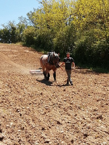 Domaine de La Combes aux Rêves