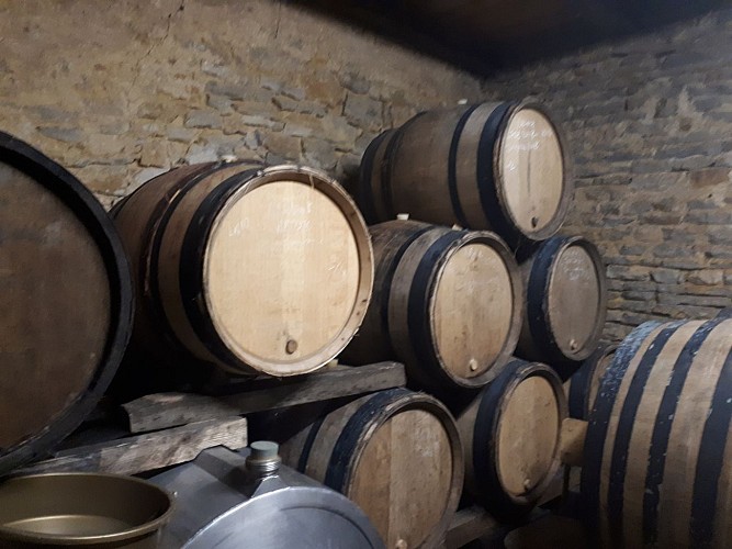 Domaine de La Combes aux Rêves