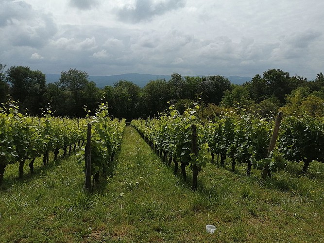 Domaine de La Combes aux Rêves