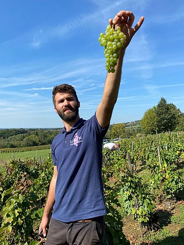 La Cave de Corentin Bouilloux - Vigneron