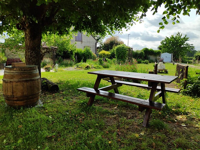 pique-nique à l'ombre des tilleuls