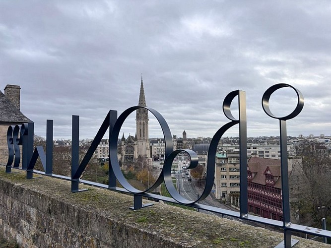 Iron will - F.Nikolic