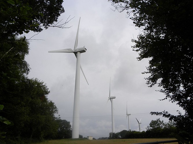 Les éolienne : l'énergie par la force du vent
