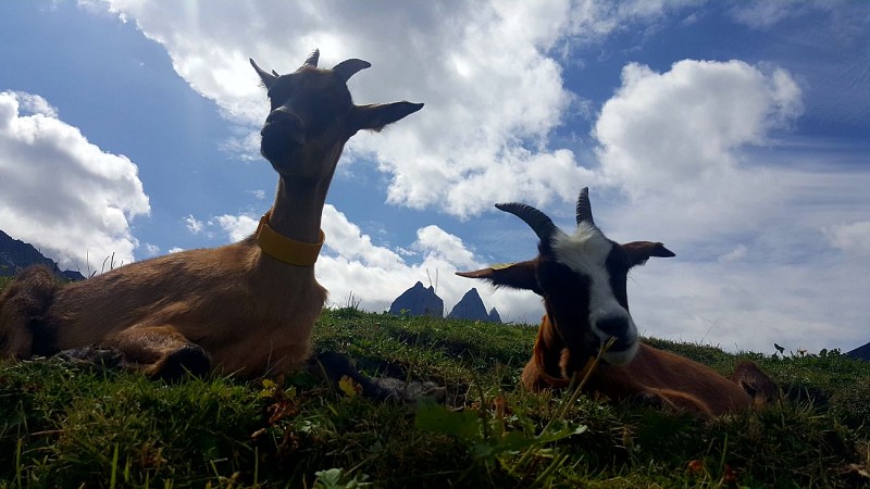 Passeggiata allo Chalet d'la Croë