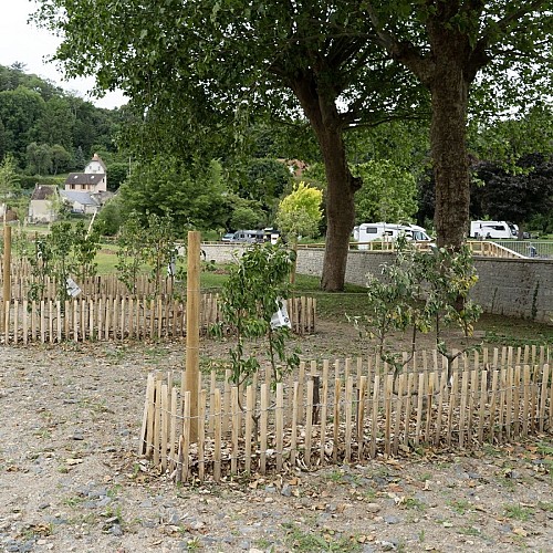 499591721_698531469426271_4824275877069762159_n