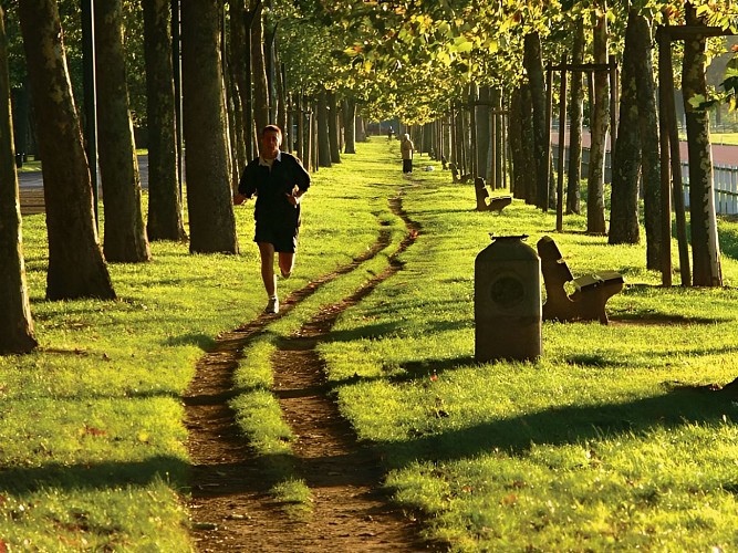 Prairie - Guichard - 800x600