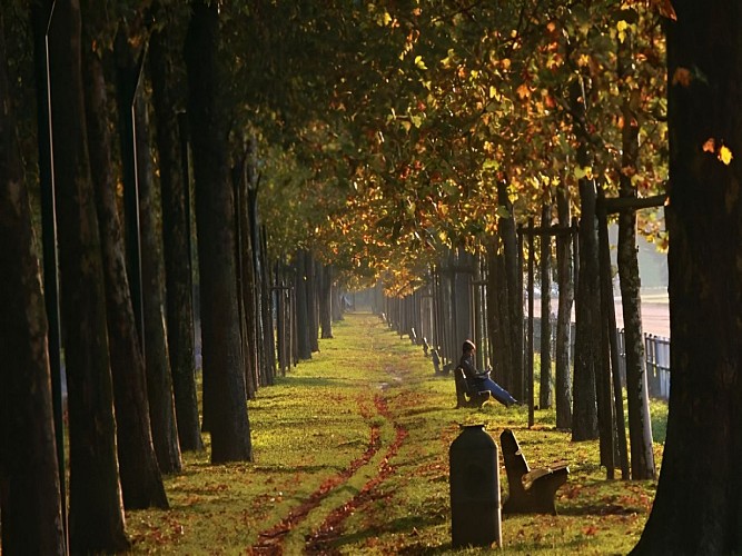 guichard2003prairie31-800x600