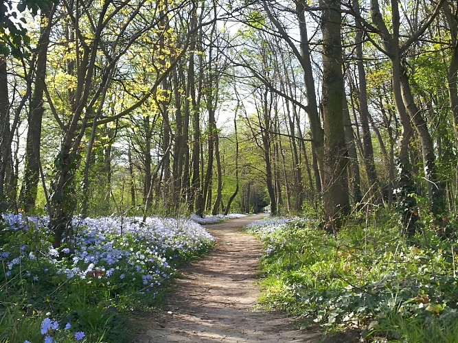 Bois Lebisey - Hérouville St Clair
