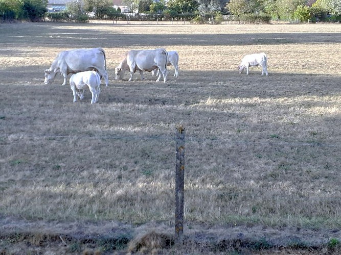Au Repos des Arches de l’Arroux