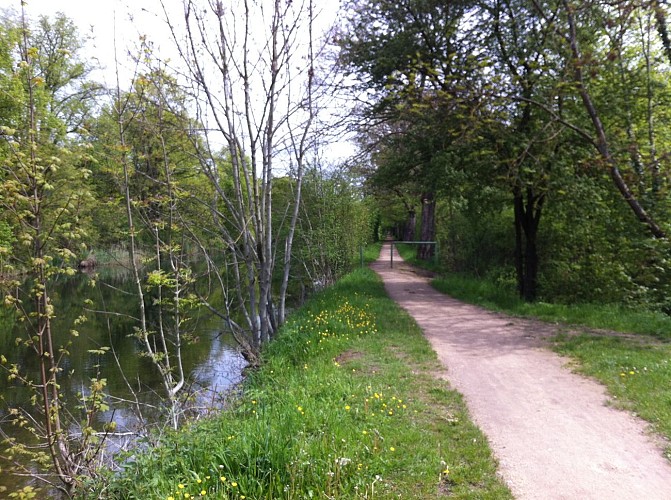 Mi-forêt / mi-étangs